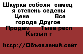 Шкурки соболя (самец) 1-я степень седены › Цена ­ 12 000 - Все города Другое » Продам   . Тыва респ.,Кызыл г.